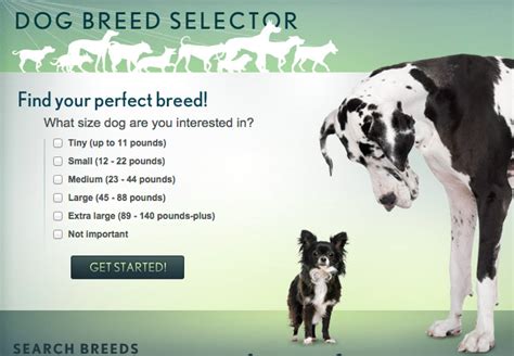 best dog breed selector quiz.